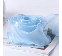 Namzi 10 Yards Organza Ribbon Sheer Ribbon Polycotton Ribbon Shiny Craft Ribbon for Flowers Floral Bouquets Garlands Wedding Gift Wrapping,A16