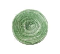Namzi 100G Laine Whirl, 58% Acrylique Laine for Crocheting, Douxly Color Changing Crochet Kit,Light Green
