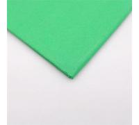 Namzi Lot de 10 feuilles de soie pliantes pour origami, emballage cadeau et fleurs en papier, papier artisanal, 50 x 66 cm, vert