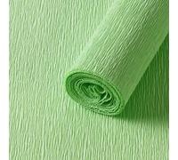Namzi Lot de 2 rouleaux de papier crépon flexible pour la fabrication de fleurs et les loisirs créatifs, 250 x 50 cm, vert clair