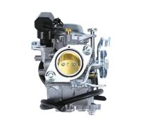 NANGAEBPPW Pour Marquis Pour Te-250cc Carburateur De Scooter