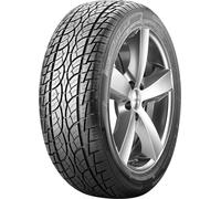 Nankang SP-7 255/30R22 95V XL FR D B 72 B