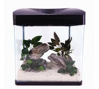 Nano Aquarium Laguna en Noir Complet + LED Éclairage + Filtre Installation