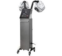 Nano cuiseur vapeur multifonctionnel for cheveux, 700 W, machine professionnelle de teinture de traitement à l'huile d'ozone avec 2 bouchons de vapeur, processeur à capuchon vertical(Gray)