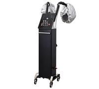 Nano-défroisseur professionnel for cheveux avec 2 bouchons de vaporisation, machine de traitement d'huile à l'ozone par micro-brume de 700 W, processeur de couleur à capuchon vertical réglable(Black)