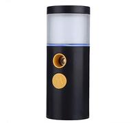 Nano Spray, Vaporisateur pour le Visage Mini Steamer Facial Mist Vaporisateur Portable Nano pour la Maison (BLACK)