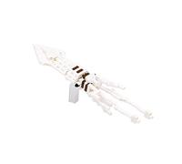 Nanoblock Jeu de construction NBC-084 Giant Squid