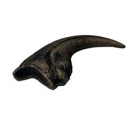 Nanotyrannus Réplique de fossile de griffe de pied grandeur nature 13 cm