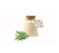 NAO-Bougie parfumée pot de yaourt Nao thuya - 120 g