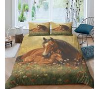 NAOFEKUID Housse de Couette 3D Impression Cheval et Poulain Microfibre Décoration Chambre Parure de Lit Équine pour Adultes Ados Doux Respirant Idée Cadeau Double（200x200cm）