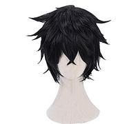 Naofumi Iwatani Perruque courte résistante à la chaleur pour cosplay avec bonnet de perruque Noir