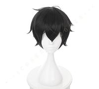 Naofumi Iwatani Perruque de cosplay Anime The Rising of The Shield Hero Noir Cheveux courts résistants à la chaleur Accessoires de fête