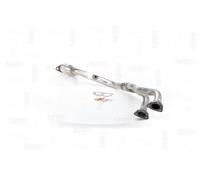 NAP carparts CAK10066 Catalyseur