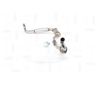 NAP carparts CAK10436 Catalyseur