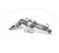 NAP carparts CAK11303 Catalyseur