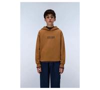 Napapijri Sweat à capuche New Box Logo Enfant Marron 14 ans