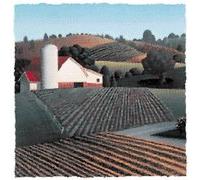 Naparstek, Belleruth - Diabetes