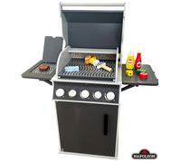 NAPOLEON Barbecue avec accessoires