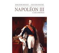 Napoléon Iii, L'incompris