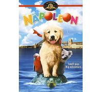 Napoleon [Import USA Zone 1]