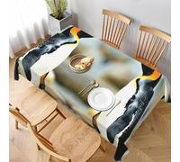 Nappe de Table Carrée 150x150 cm Polyester Imperméable Anti-Tache Lavable Impression Pingouin pour Table Carrée Repas en Famille Jardin et Balcon C-497