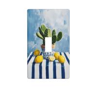 Nappe murale décorative à bascule simple pour cuisine, ferme, chambre à coucher, salle de bain - Motif pot de cactus sur fond bleu et blanc