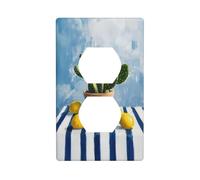 Nappe murale décorative pour interrupteur de cuisine ou salle de bain Motif pot de cactus sur fond bleu et blanc 7 x 11,4 cm