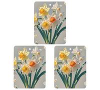 Narcisse Lot de 3 désodorisants carrés à suspendre pour voiture, maison, bureau, style gris