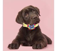 Naroote Adorable Collier de Dressage coloré en Microfibre pour Chien et Chat pour Jouer, Faire de l'exercice et Photographier, fabriqué à Partir de Matériaux de qualité Supérieure, Réglable pour la