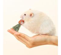 Naroote Barres de Dentition en Forme de Carotte pour Hamster, Jouet à Mâcher Nutritionnel Naturel pour Hamsters, Lapins, Cochons d'Inde, Chinchillas, 3 Pièces en Poudre de Carotte (3PCS)