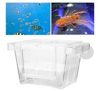 Naroote Boîte D'isolation Transparente en Acrylique pour élevage de Poissons, Petite Taille, pour bébé, écloserie de Poissons, Aquarium