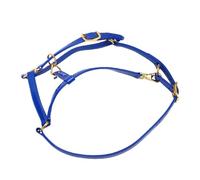 Naroote Bridon de Cheval Double Couche de 20 Mm, Résistant à l'eau, aux Odeurs, en Cuir Synthétique avec Boucles en Alliage doré pour L'entraînement des Poneys à Sang Chaud