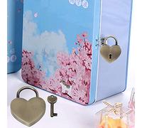 Naroote Cadenas en Métal Vintage avec Serrure en Forme de Cœur, pour Boîte à Bijoux, Petits Bagages, 45x59mm, pour Journal Intime, Serrure à clé, Fournitures Artisanales (Bronze)