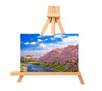 Naroote Chevalet de Table de Bureau en Hêtre, Support Robuste pour Affichage de Photos de Mariage, Texture Lisse pour Fournitures Artistiques, pour Exposition de Bureau