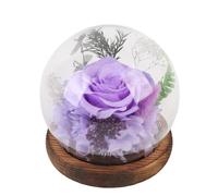 Naroote Couverture en Verre de Rose éternelle Fabriquée à la Main, Décoration avec Lumière LED, pour Cadeau d'anniversaire, Souvenirs éternels (Violet Classique)