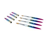 Naroote Ensemble de Pinceaux pour Nail Art, 4 Pièces, Poignée Ergonomique, Cheveux Doux et Flexibles pour Bricolage, Projets de Nail Art et de Peinture, Tube en Aluminium
