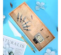 Naroote Ensemble de Stylos à Plumes, Kit de Calligraphie de Style Vintage pour étudiants, Coffret Cadeau pour Noël et Anniversaire (WHITE)