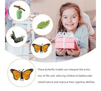 Naroote Étapes de l'insecte, Kit de Cycle de Vie des Insectes Réaliste pour l'école pour Les étudiants (Naroote4dpkmgahis-10339684)