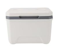 Naroote Glacière, Petite Glacière pour Boissons, Glacière de Voiture Portable Isolée de 6 L, Glacière Rigide avec Poignée Robuste pour la Plage, le Pique-nique, le Camping, le Talonnage,