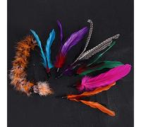 Naroote Jouet de Plume pour Chats, Jouets en Plumes pour Chats Intérieurs 7pcs pour Animaux de Compagnie Teaser Dangler Tige Bâton de Remplacement de