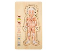 Naroote Jouet en Brique en Bois Multicouche, Structure du Corps Humain, éducatif pour Les Enfants de 3 Ans et Plus, coloré 11,41 "x 6,57" (Garçon)