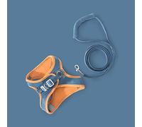 Naroote Laisse de Harnais pour Chat à Bande Réfléchissante, Respirante, Durable et Robuste pour Animaux de Compagnie avec Matériau Polaire en Peau de Cerf (Orange et Bleu S, Convient pour