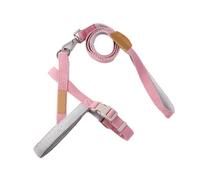 Naroote Laisse pour Chien, Corde de Traction pour Chien Durable en Polyester Contrôlable pour la Randonnée pour Le Dressage des (2,0 cm)