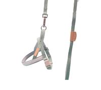 Naroote Laisse pour Chien, Corde de Traction pour Chien Durable en Polyester Contrôlable pour la Randonnée pour Le Dressage des (1,5 cm)