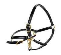 Naroote Licol de Cheval 20mm Réglable en Cuir PU Double Couche | Raccords en Alliage, Doublure en Coton, équitation Sous la Pluie, Climat Humide, Respirant, Types de Corps de Cheval,