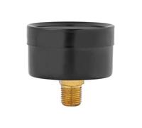 Naroote Manomètre Compact Mini 0-160psi/0-10bar pour Carburant, Air, Eau Mini Manomètre pour Mécanique Métal 1 Pièces pour Les Passionnés de Voiture