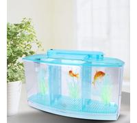 Naroote Mini Aquarium à LED pour L'élevage et L'isolement, Conception à Trois Divisions avec Lumières LED, Idéal pour Les Petits Poissons, Matériau Acrylique Transparent (Blue)