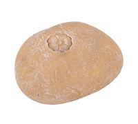 Naroote Pierre Commémorative pour Animaux de Compagnie, Marqueur de Tombe gravé sur Mesure pour Animaux de Compagnie, Pierre de Jardin Commémorative Personnalisée pour de avec Un Design Sincère,
