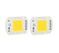 Naroote Puce LED COB, AC 220 V, Compacte, sans Conducteur, Perles de Lampe SMD Intégrées pour œuvres d'art. (Lumière chaude 50W)