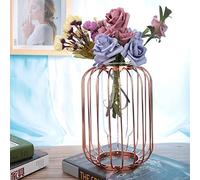 Naroote Vase en Fer en Forme de Lanterne Nordique élégant Support de Pot de Fleur de Table en Verre pour la Décoration de la Maison Bureau Mariage, Tube à Essai Transparent Transparent Terrarium (Or